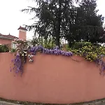 Otel Alegre - Bussaco Boutique