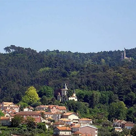 Alegre Bussaco