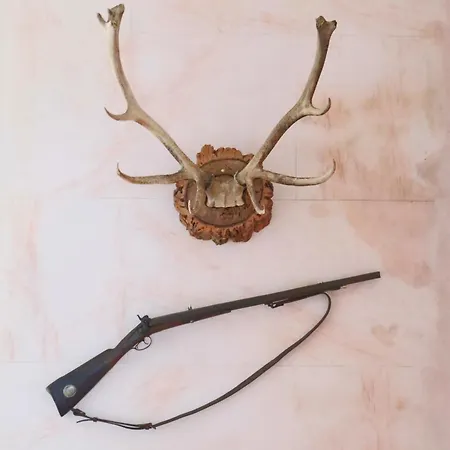 Alegre - Bussaco Boutique