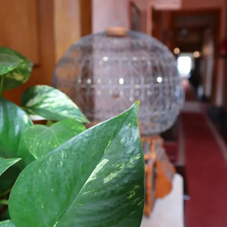 Alegre - Bussaco Boutique 호텔 3*