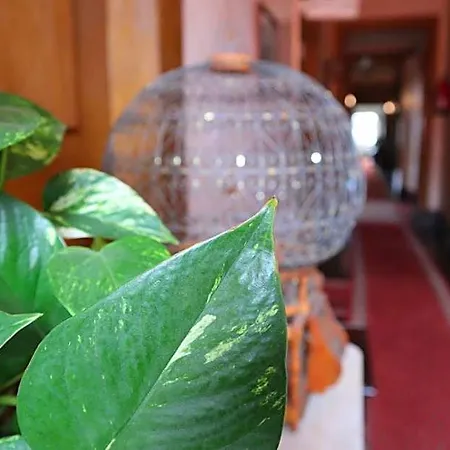 Hotel Alegre - Bussaco Boutique Luso (Mealhada)