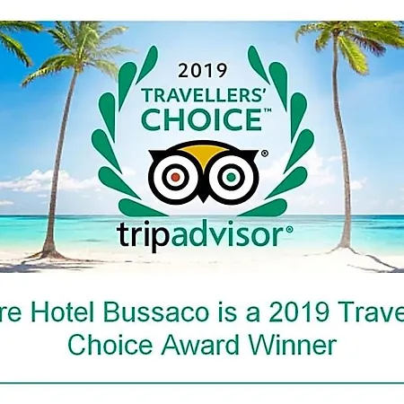 Alegre - Bussaco Boutique Hotel Luso (Mealhada)