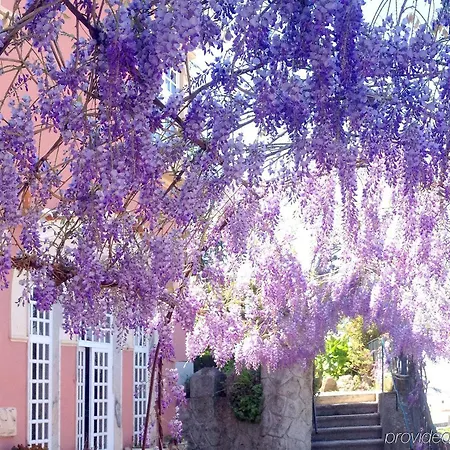 Alegre - Bussaco Boutique 호텔 루소