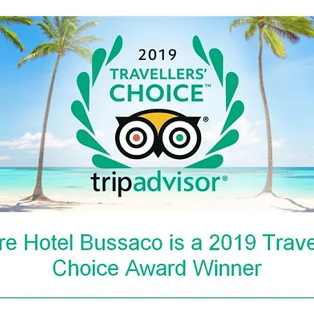 Alegre Bussaco Hotel