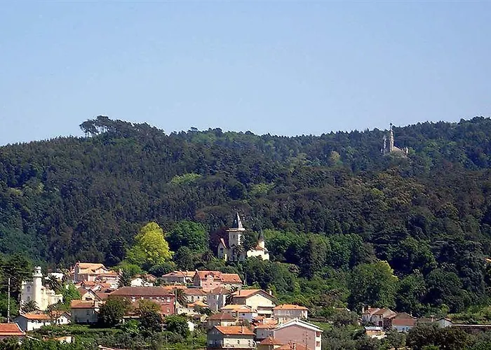 Alegre - Bussaco Boutique