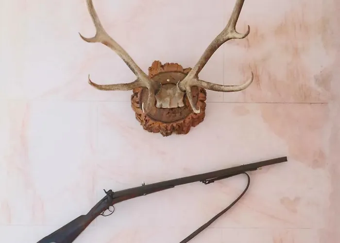 Alegre - Bussaco Boutique