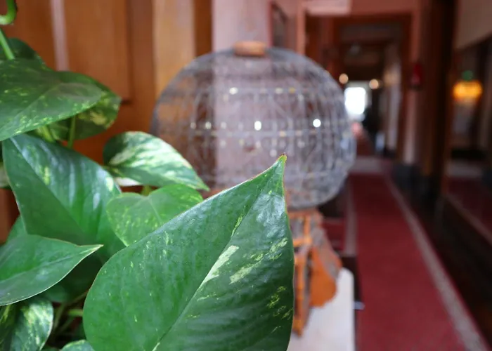 Alegre - Bussaco Boutique ホテル 3*