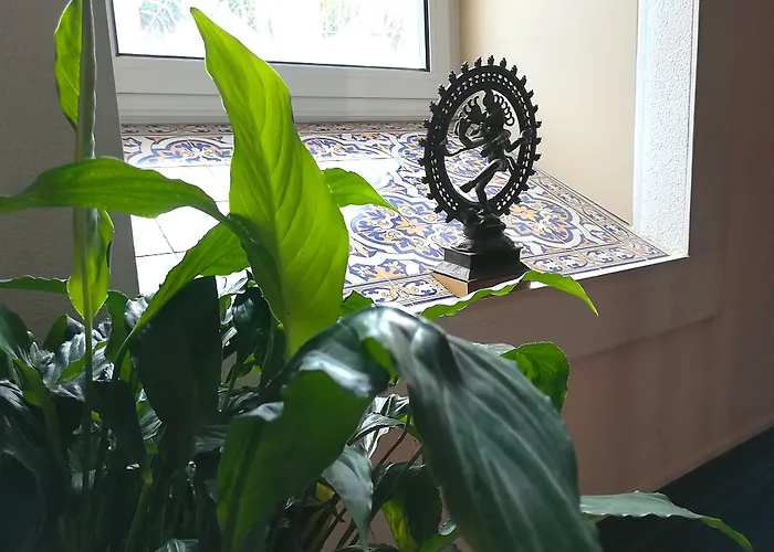 Alegre - Bussaco Boutique Szálloda 3*