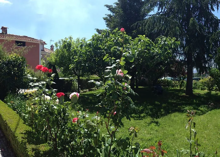 Alegre - Bussaco Boutique