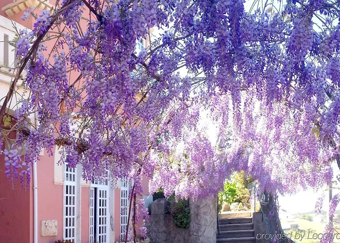 Alegre - Bussaco Boutique Szálloda Luso